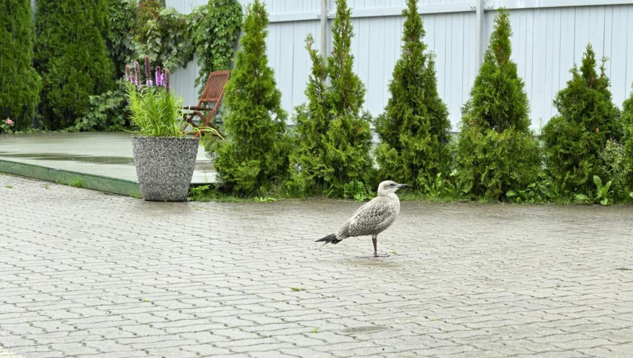 Tallinn Apartments K8 Free Parking Zewnętrze zdjęcie